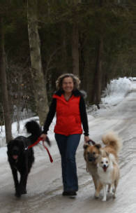 Virginia walking dogs